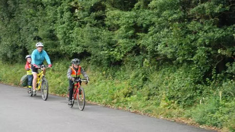 Seguro para Bicicleta Eléctrica: Costes, Obligaciones y Comparativa